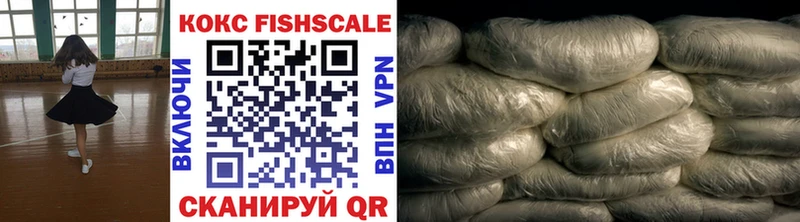 Купить закладки  Мариинский Посад  COCAIN Fish Scale 