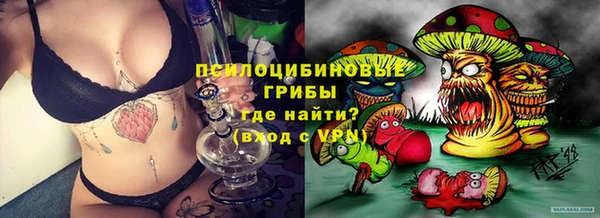 spice Осинники