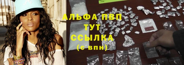 spice Осинники