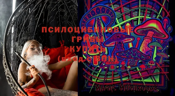 spice Пересвет