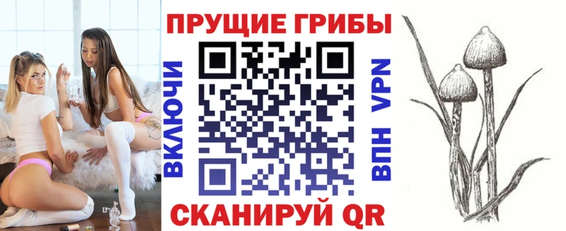 Купить где  Мариинский Посад  Галлюциногенные грибы Magic Shrooms 